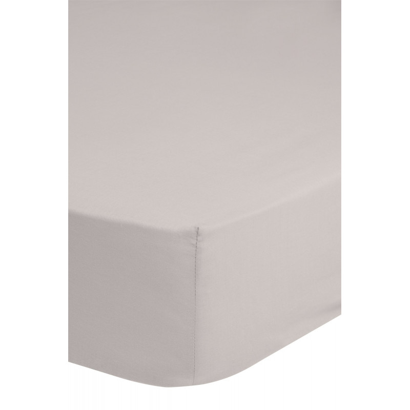Fitted Sheet Good Morning cotton easy care White-Sand
